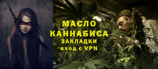 индика Абдулино