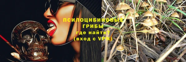 прущие крисы Алзамай