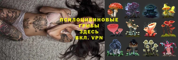 ALPHA PVP Алексеевка