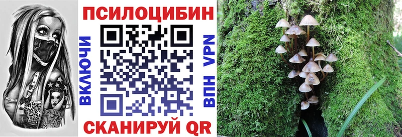 Псилоцибиновые грибы Cubensis  цена наркотик  Подпорожье 